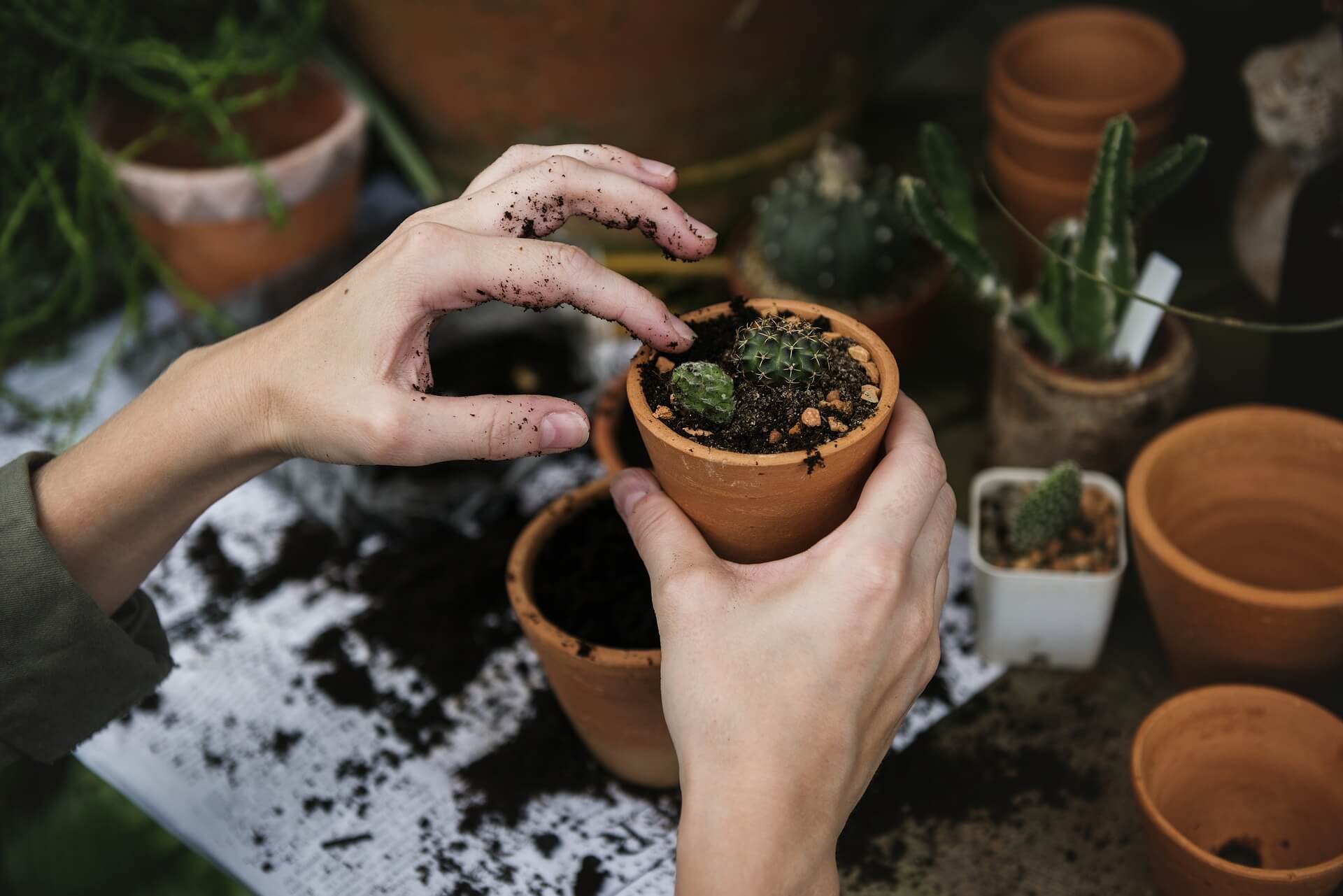 close up shot of a person gardening with a only hands in view and gardening pots in background