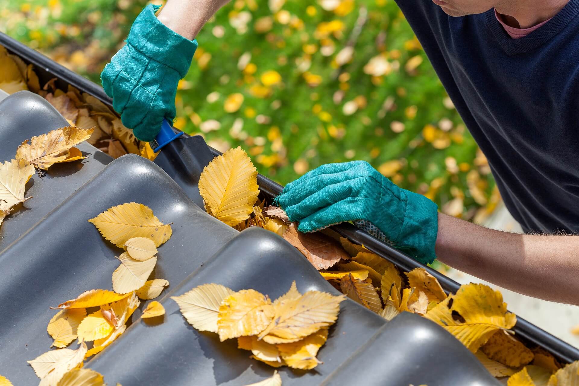 close up of a persons gloves cleaning gutter of a house